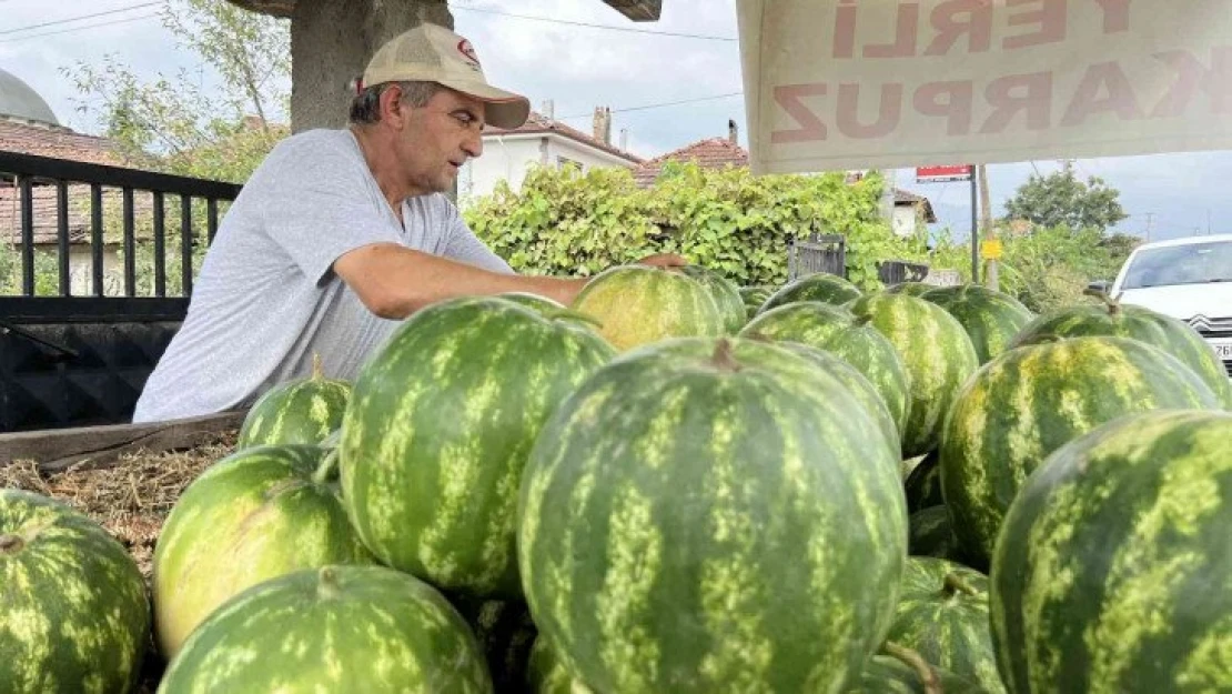 90 günde yetişiyor, Adana'ya rakip