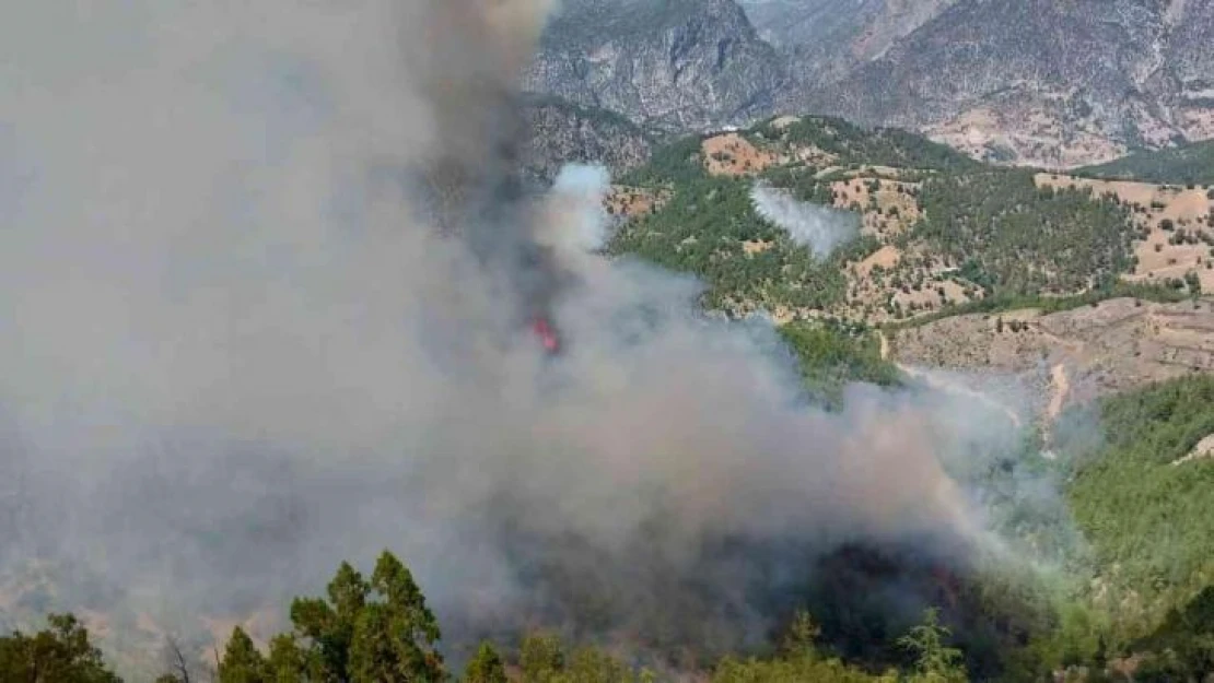 Adana'da orman yangını