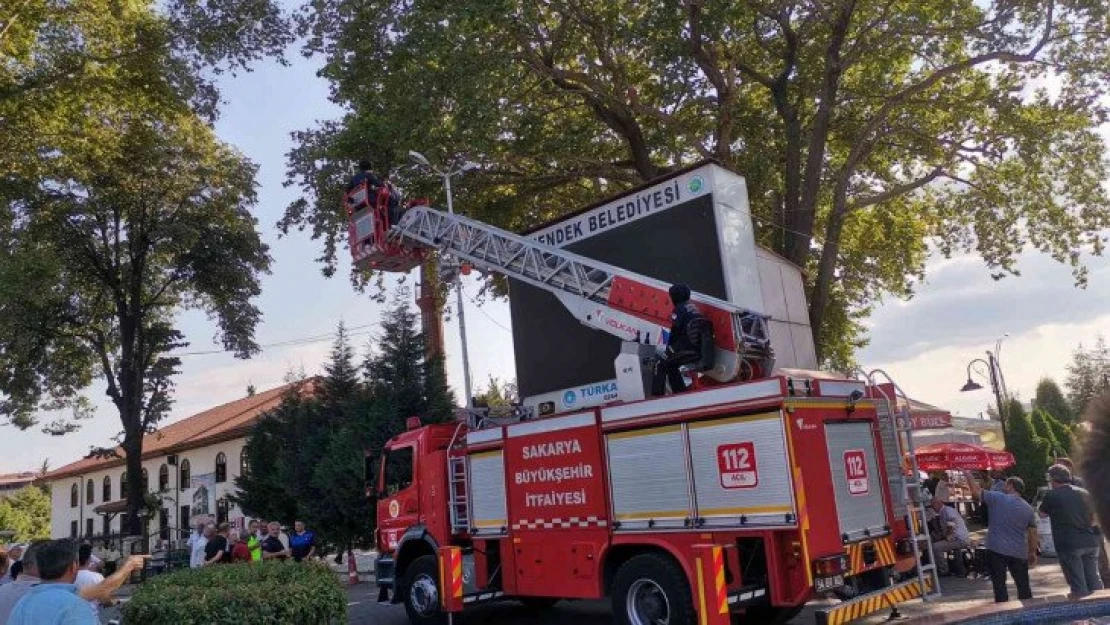 Ağaca takılan yaralı karganın imdadına itfaiye yetişti