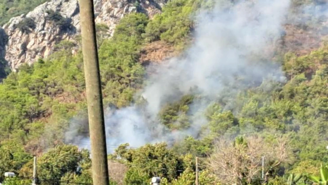 Antalya Adrasan'da orman yangını