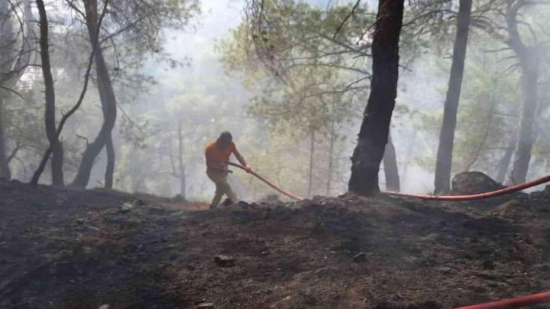 Antalya'da çıkan orman yangını kontrol altına alındı