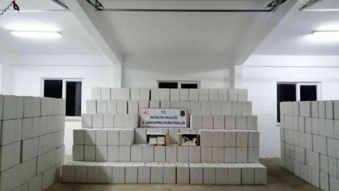 Antalya'da kaçak makaron taşımacılığına jandarma baskını
