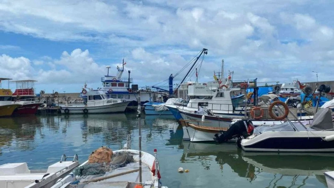 Balıkçılar yeni sezonda palamuttan umutlu