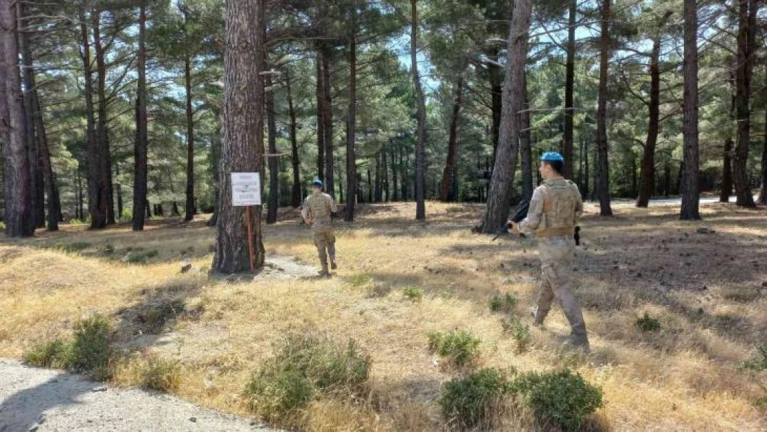 Balıkesir'de ormanları komandolar koruyor