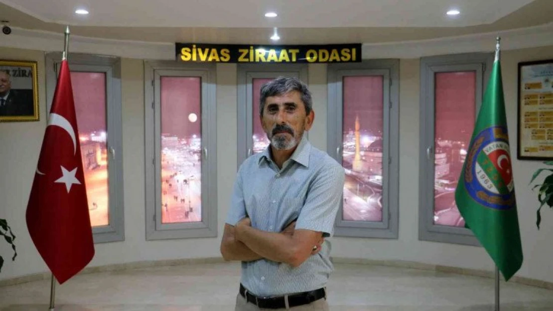 Sivas Ziraat Odası Başkanı: 'Sel baskınında 30 bin dönüm tarım arazisi hasar gördü'