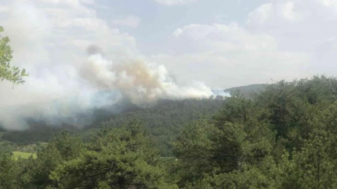 Bolu'da orman yangını