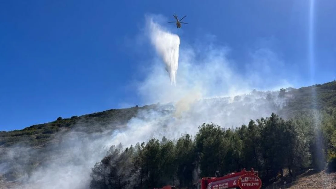 Burdur'da orman yangını