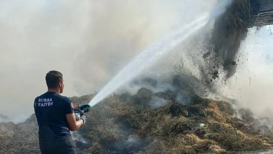 Bursa'da hayvan çiftliğinde yangın