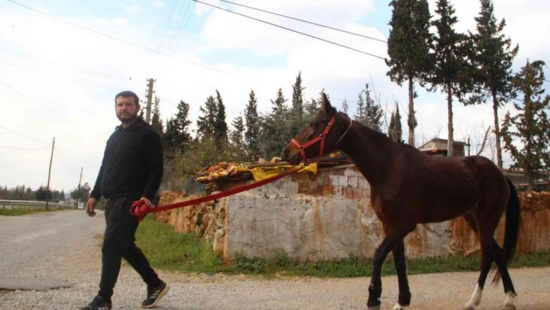 Çaldığı atla markete girip attan kasada indi