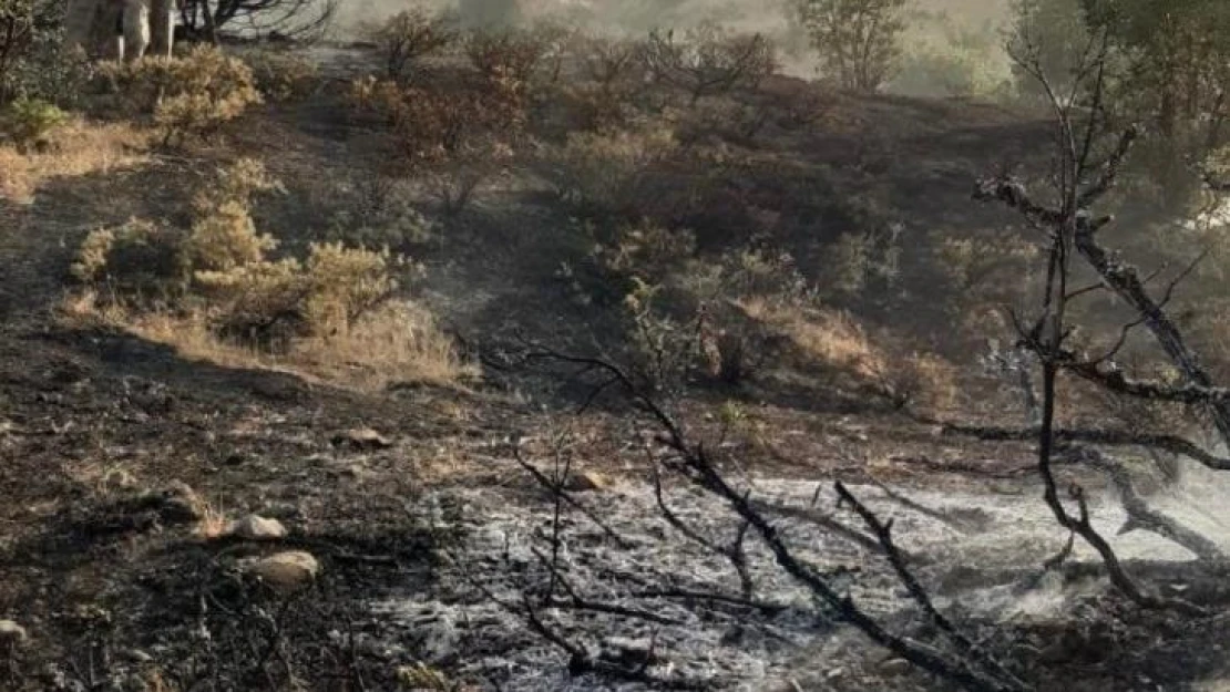 Elazığ'da ormanlık alanda çıkan yangın büyümeden söndürüldü