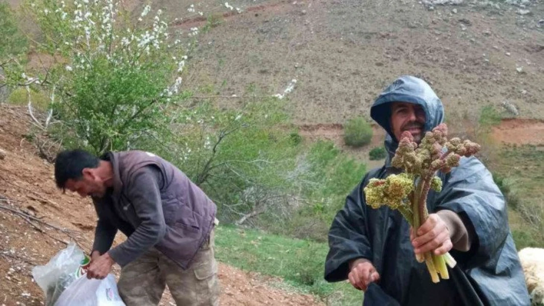 Elazığ'da zorlu ışkın mesaisi sürüyor