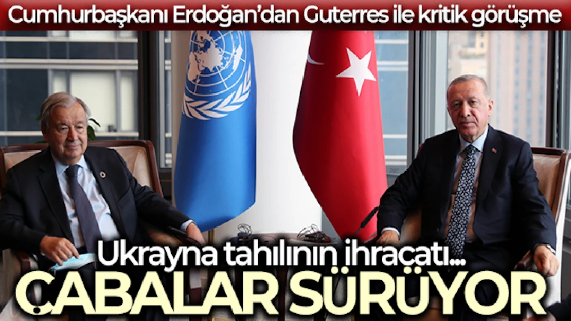 Erdoğan BM Genel Sekreteri ile küresel gıda krizinin çözümünü görüştü