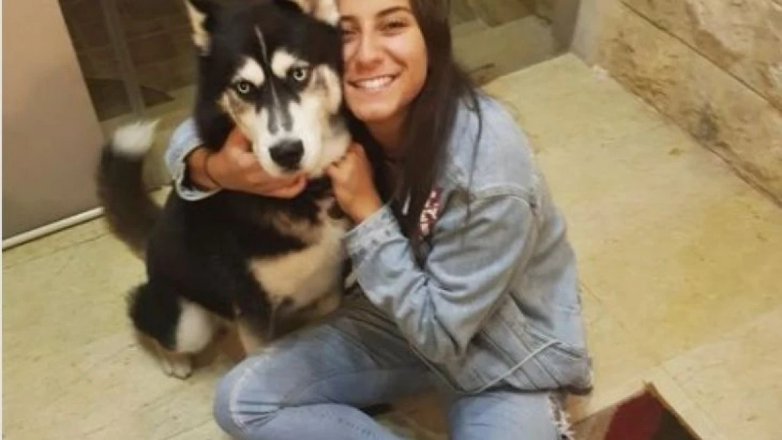 Fransa'da yanlış tanı konan köpeğin kanseri, İstanbul'da tedavi edildi