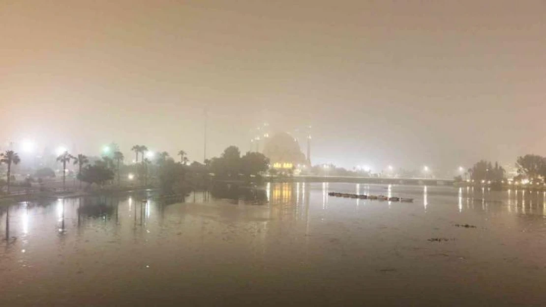Gece yarısı Adana'da sis etkili oldu