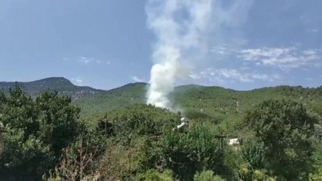 Hatay'da orman yangını