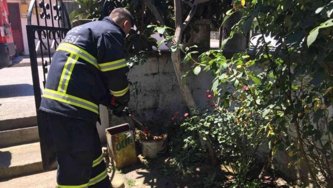 Kadınların yılan ihbarı itfaiyeyi harekete geçirdi