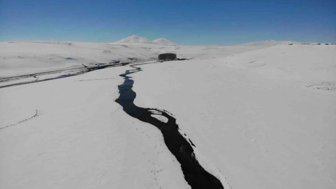 Kars'ta kar altındaki menderesler büyülüyor