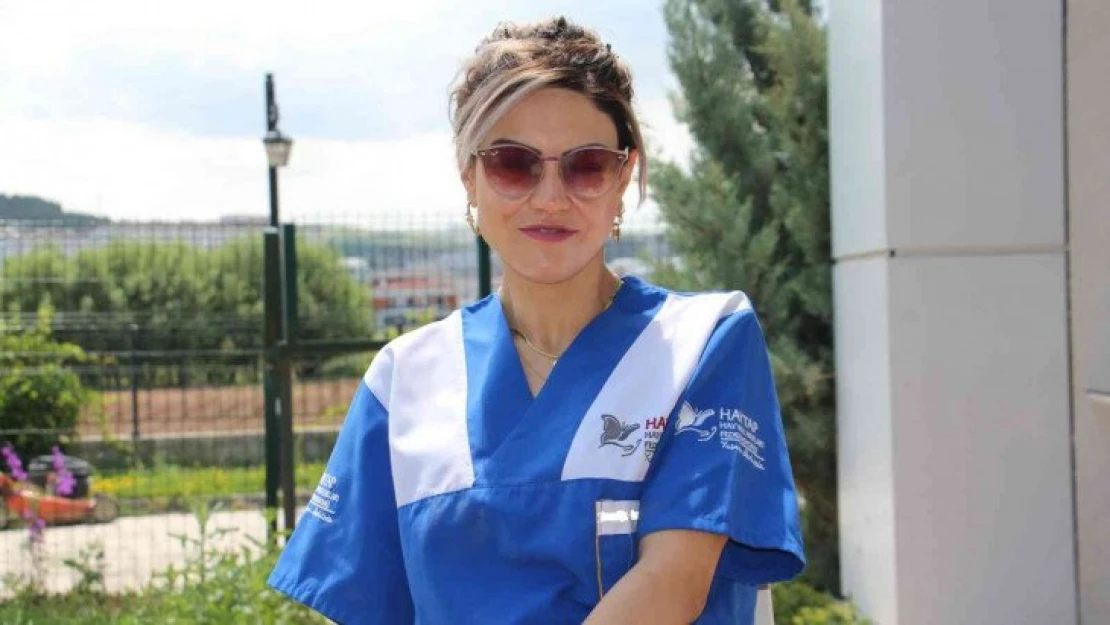 Köpek dövüşüne suç duyurusu