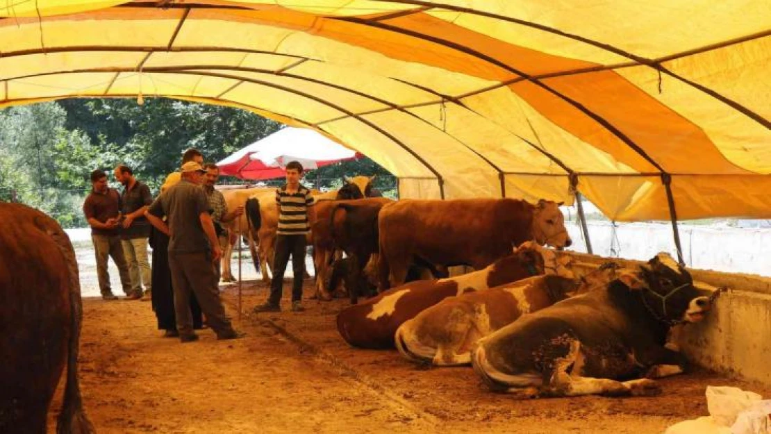 Kurban Bayramı'na bir gün kala pazarlıklar kızıştı