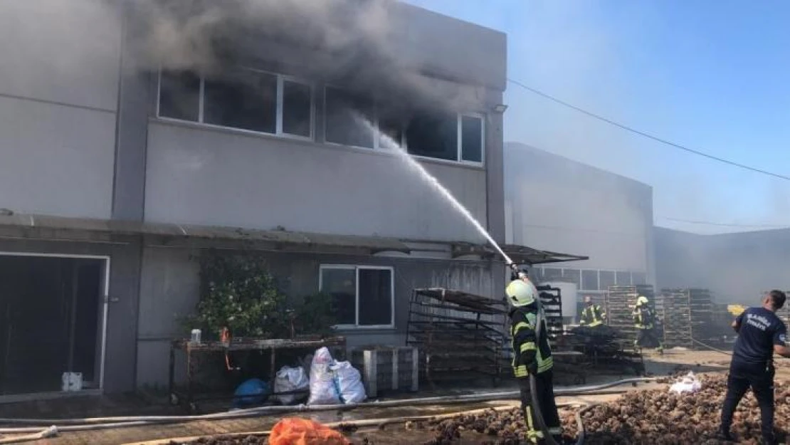 Manisa'da fabrika yangını