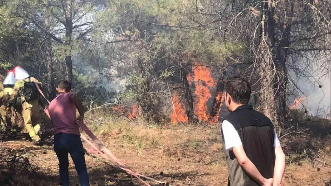 Manisa Gördes'teki orman yangınında ekipler seferber oldu