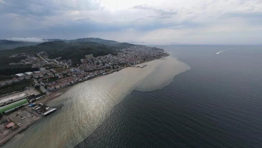 Mudanya Sahili çamura boyandı