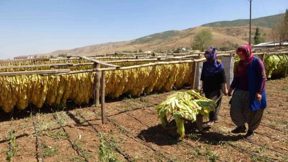 Muş'ta kadınlar çiftçilikle aile ekonomisine katkı sağlıyor