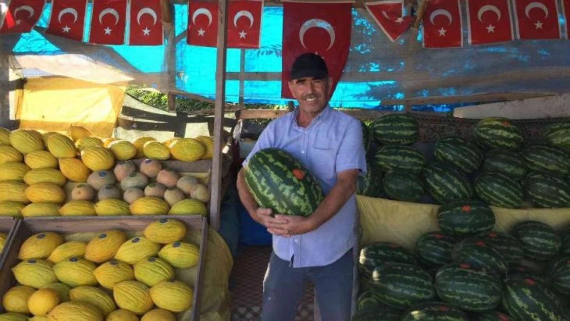 Osmaneli karpuzları artık ayırt edilebiliyor