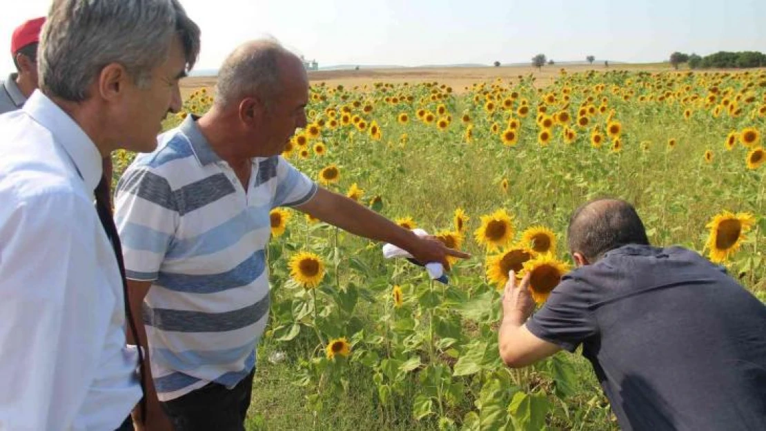 (ÖZEL) DPÜ üretim seferberliği başlattı