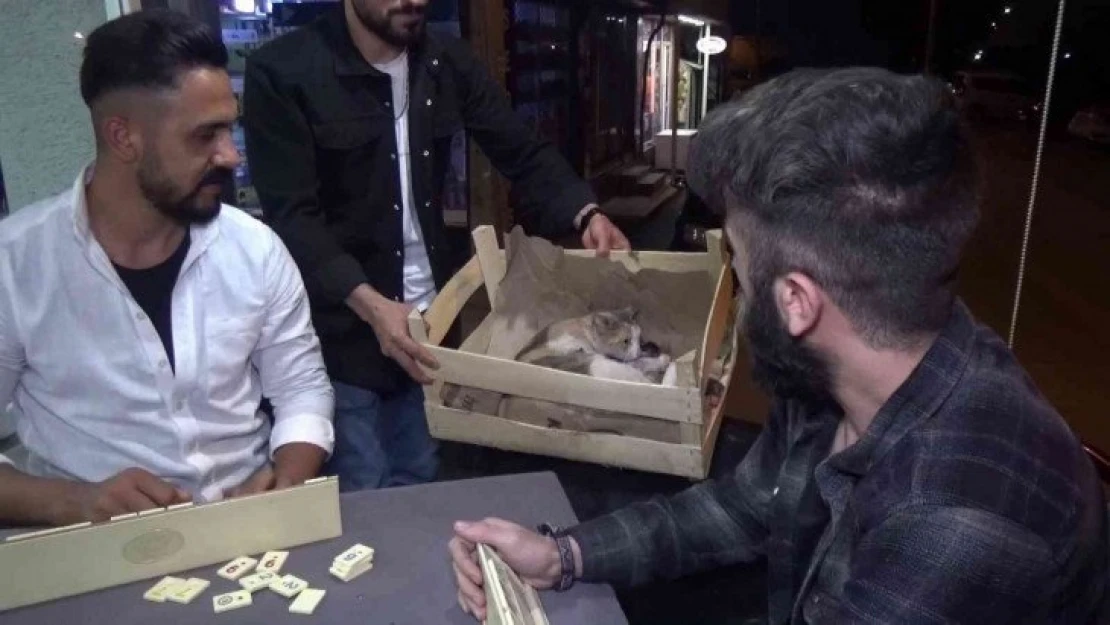 (Özel) Yok böyle bir olay...Okey masasında doğum