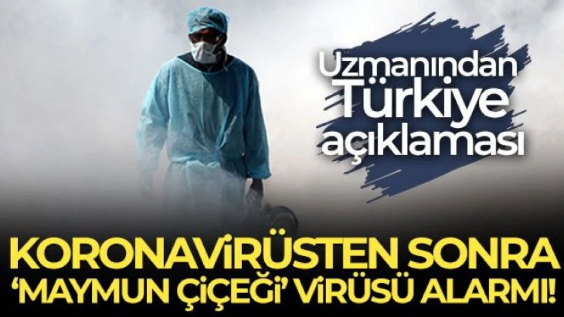 Kovid-19'dan sonra maymun çiçeği virüsü alarmı
