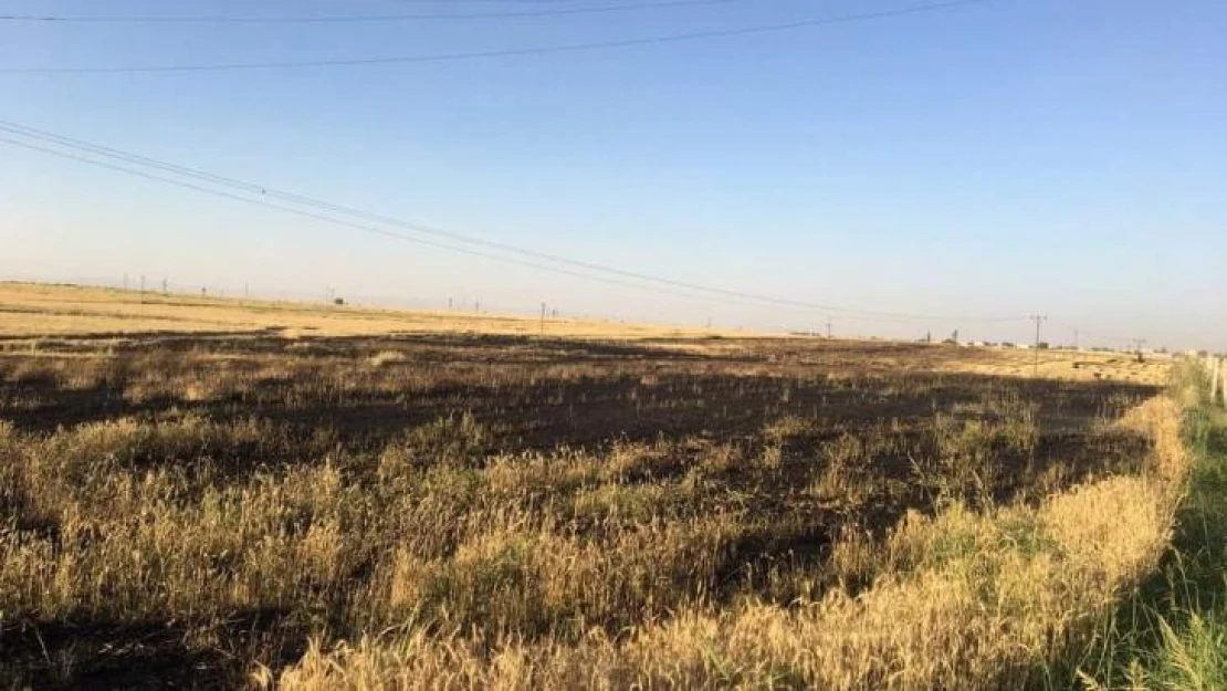 Şanlıurfa'da 80 dönüm buğday tarlası yandı