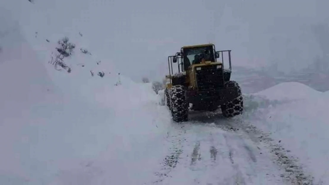 Siirt'te 28 köy yolu ulaşıma kapandı