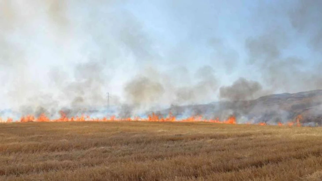 Siirt'te çiftçilere ve piknikçilere anız uyarısı