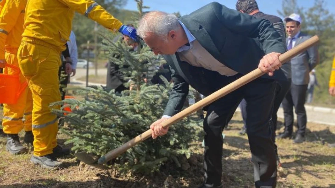 Taşova'da Orman Haftası'nda fidan diktiler