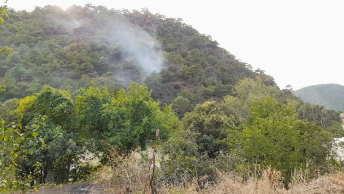 Tokat'ta ormanlık alanda yangın