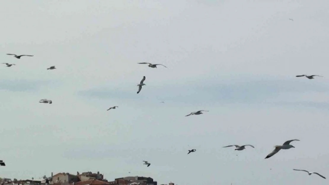 Trakya'da fırtına etkili oldu