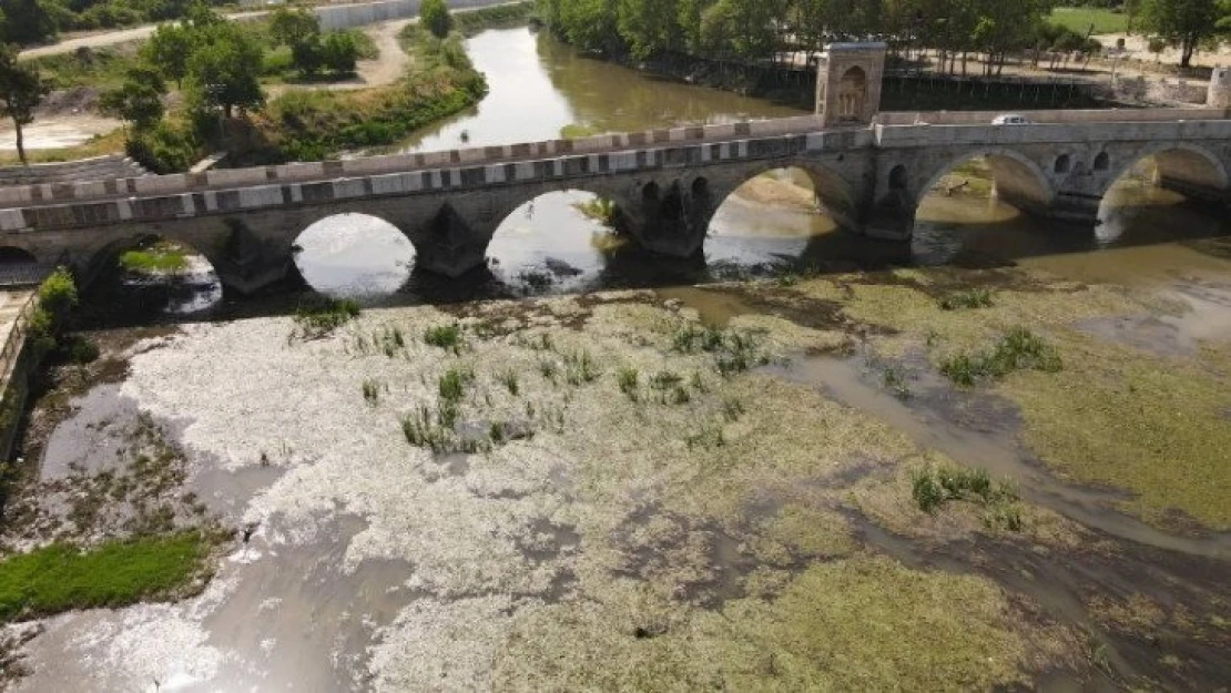 Tunca Nehri adeta bataklığa döndü