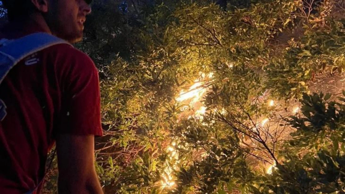 Tunceli'deki örtü yangını kontrol altına alındı