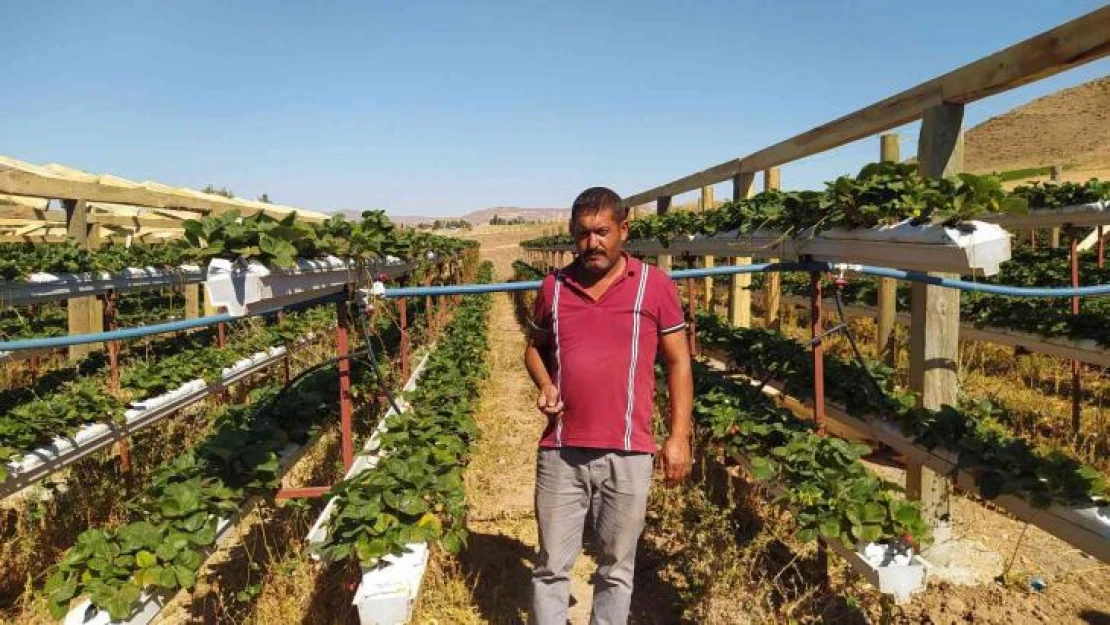 Üretime kat attı, bir dikti üç aldı