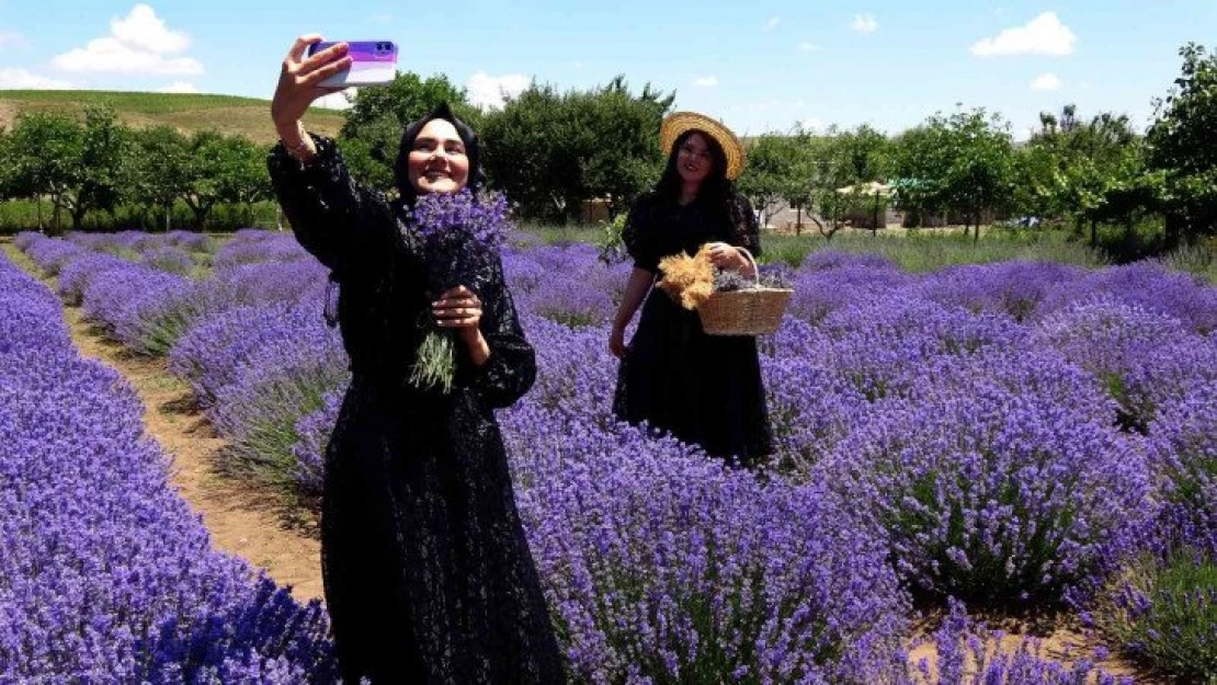 Yozgat'ta lavanta bahçesi doğal stüdyo alanına döndü