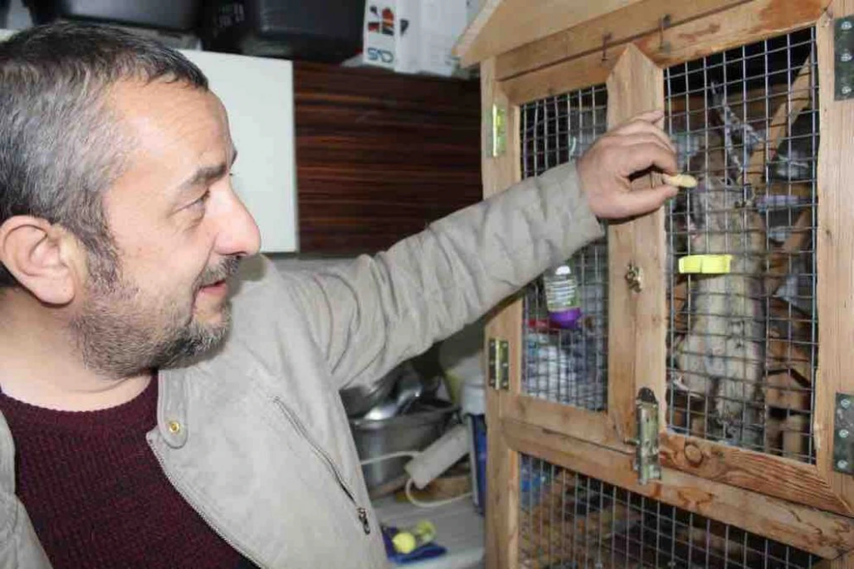 Onlarca farklı türden oluşan 30'dan fazla hayvana ev sahipliği yapıyorlar