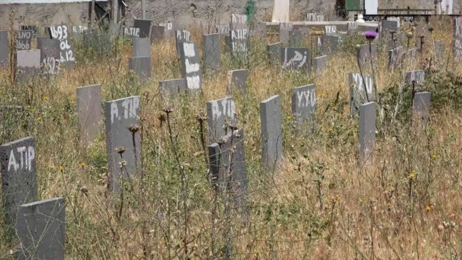 'Kimsesizler Mezarlığı'nda son bulan umut yolculuğu