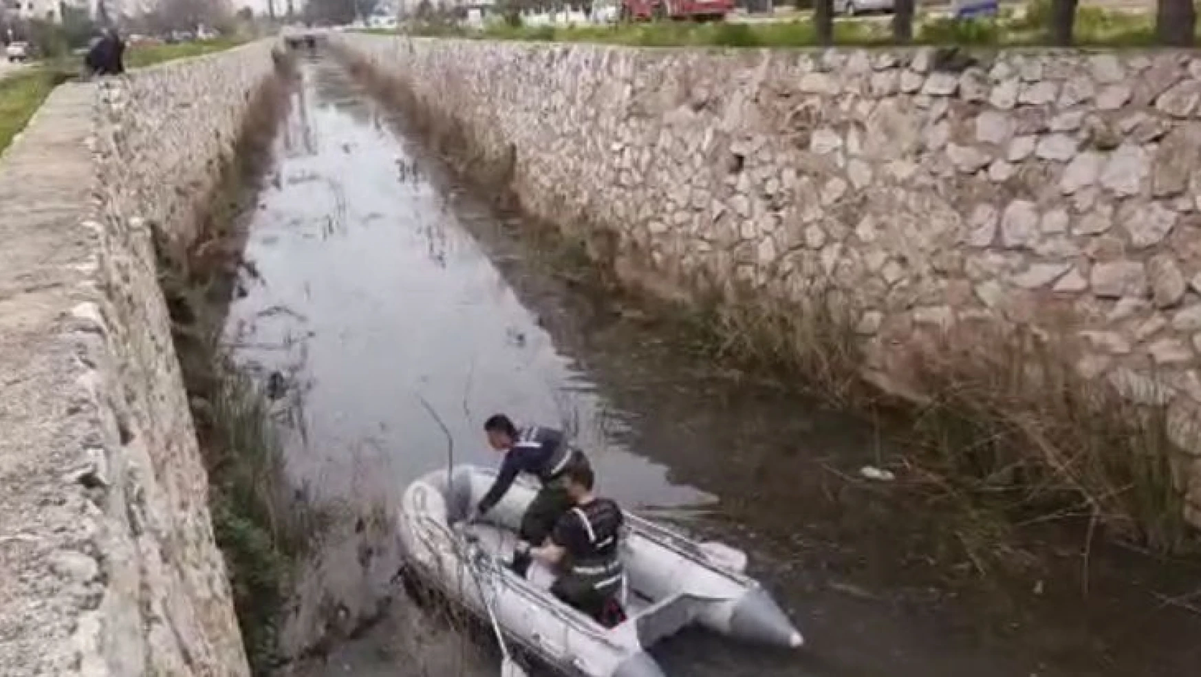 Antalya'da kanala düşen köpek, ekipleri peşine taktı