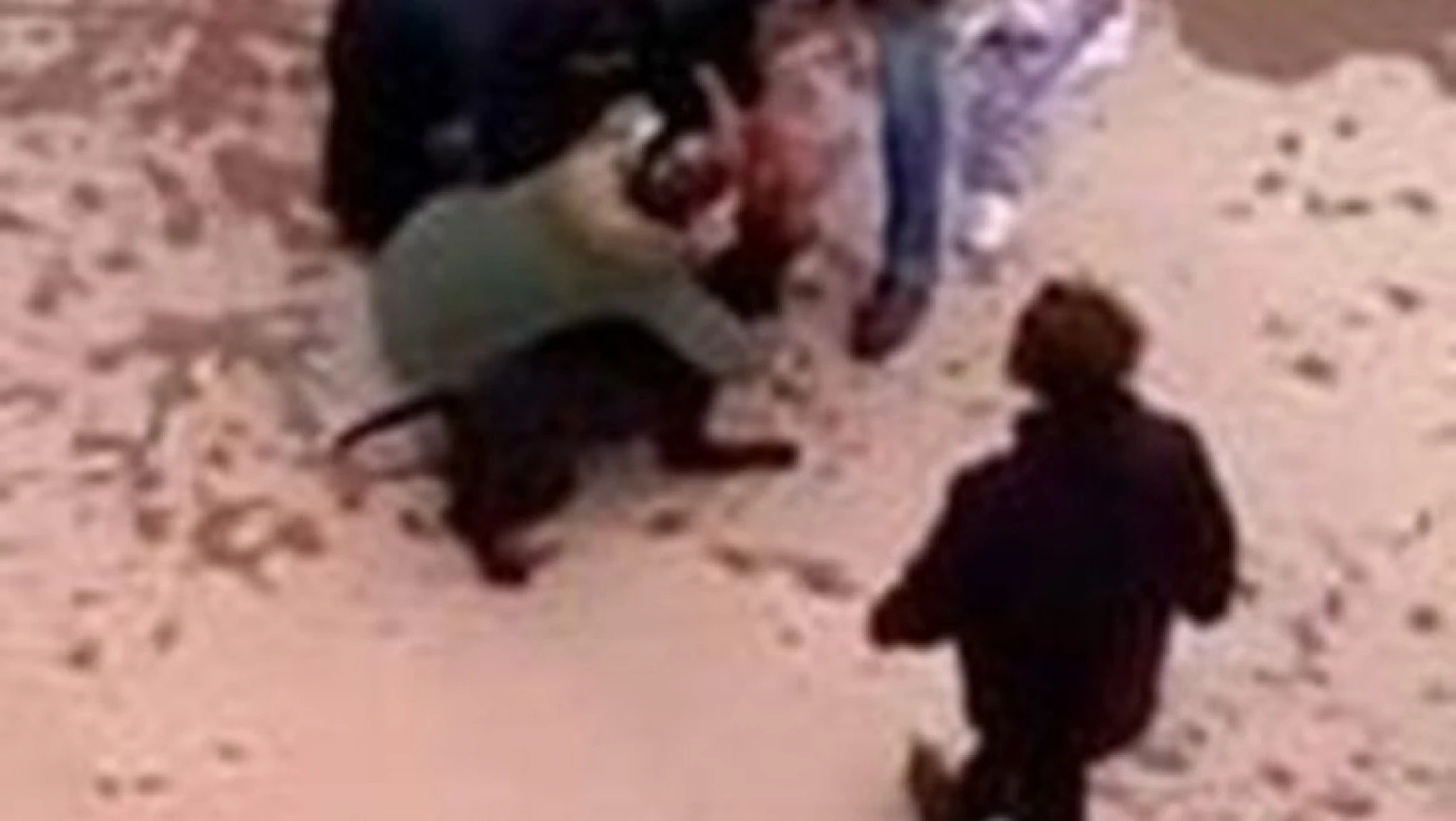 Asiye'ye pitbull saldırısı ile ilgili davada tutuklu 4 sanık tahliye edildi