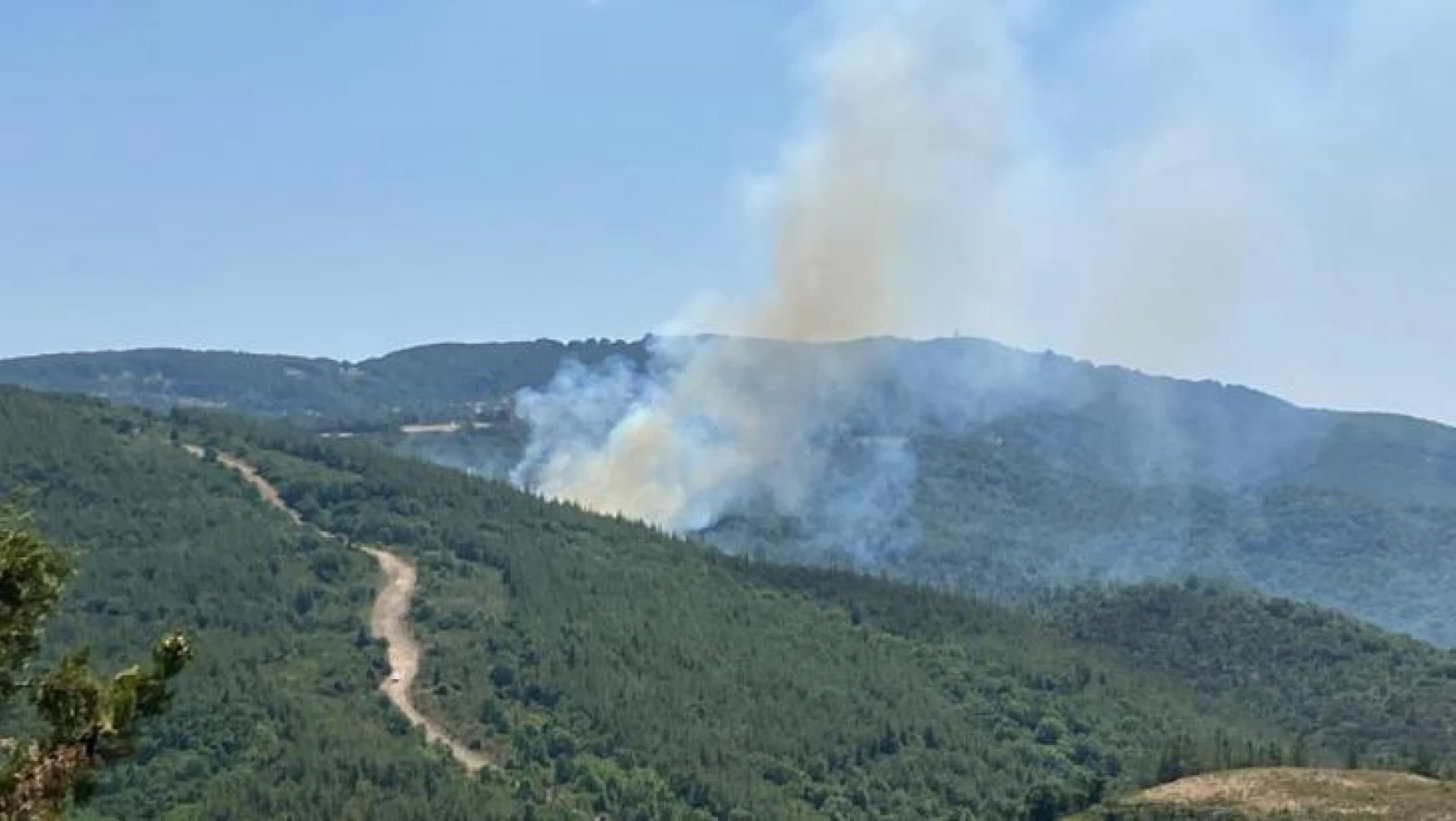 Biga'da orman yangını
