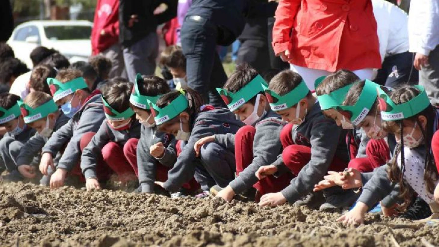 Çocuklar mor patates tohumlarını toprakla buluşturdu