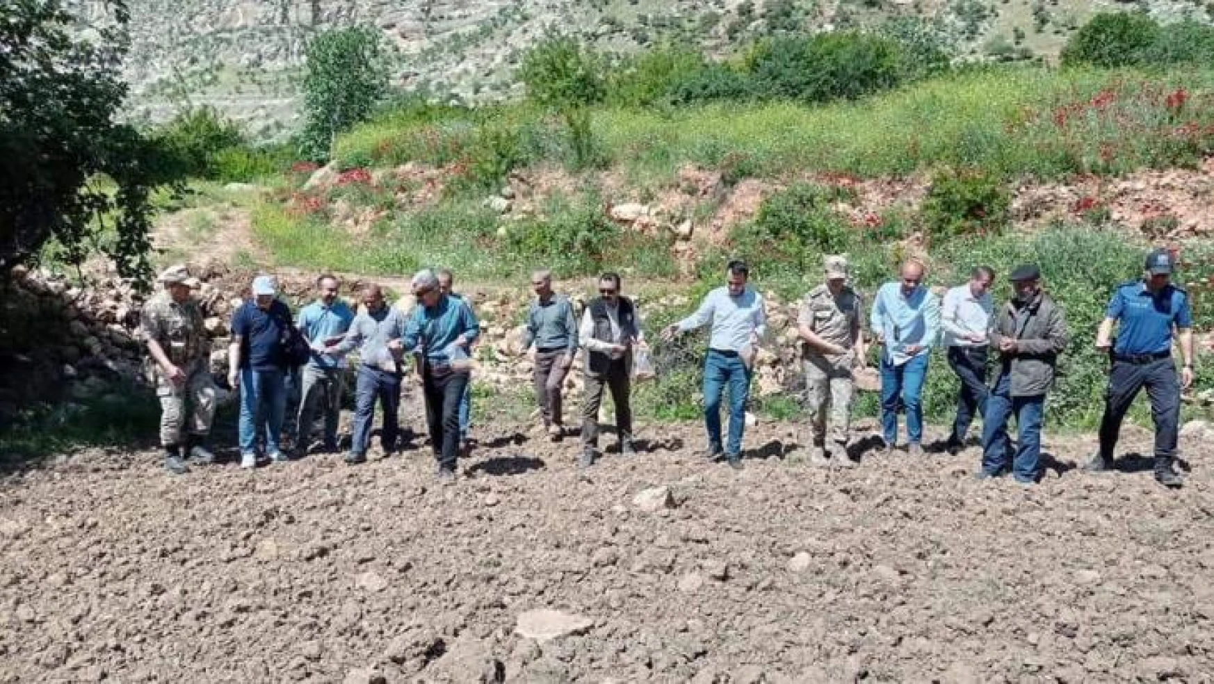 Devlet destek verdi Siirt'te susam ve çeltik ekimi yaygınlaştı