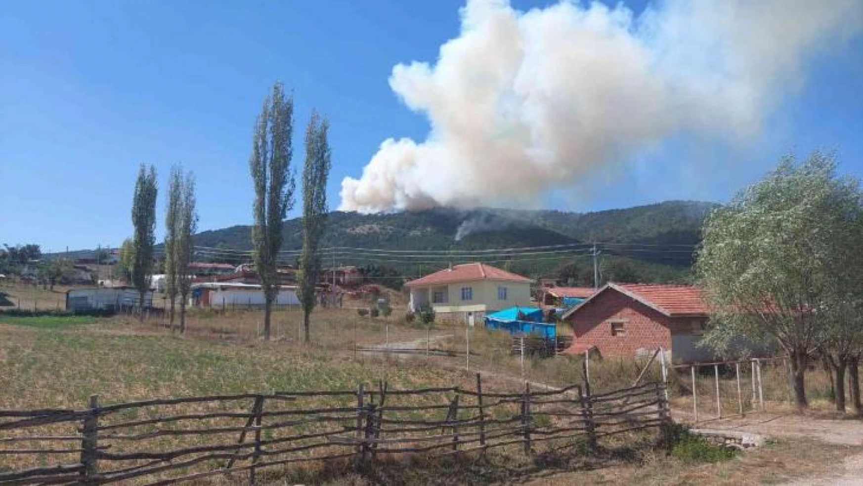 Eskişehir'de orman yangını