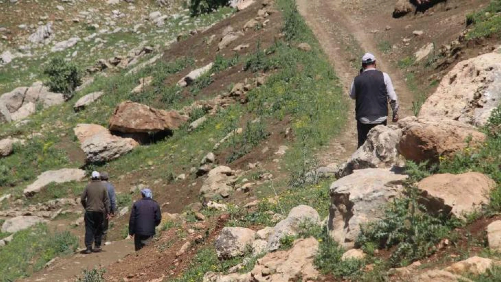 Gabar Dağı'nda iki gündür kayıp olan vatandaşı bulma çalışmaları devam ediyor